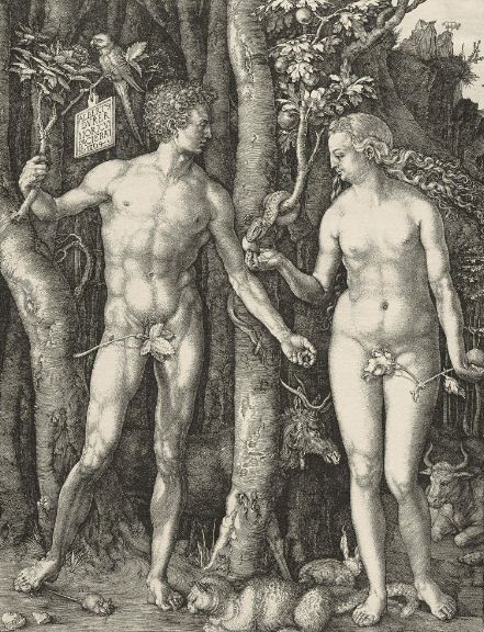 Альбрехт Дюрер " Адам и Ева" . Гравюра ( 1504 год). 