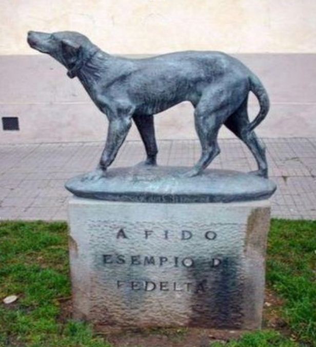 Памятник псу Фидо в городе Борго - Сан - Лоренцо 