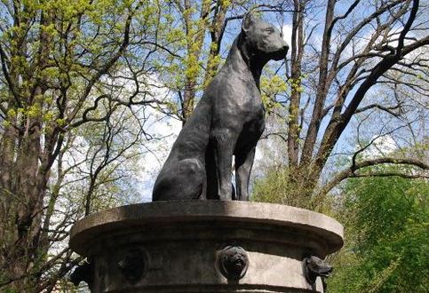 Монумент безымянной собаке в Санкт - Петербурге 