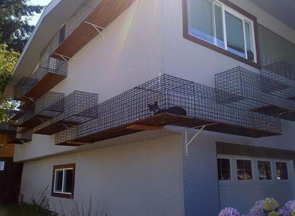 Фасад дома с огороженным сеткой подиумом для прогулки кошек 