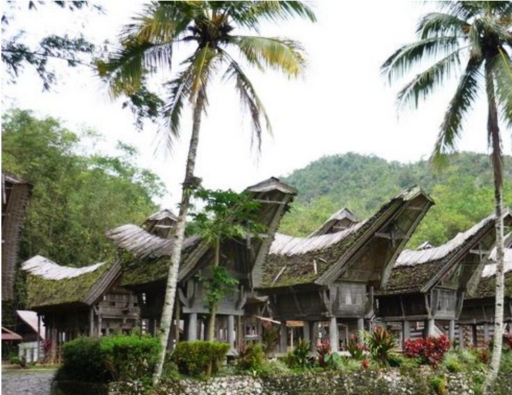 Деревня племени тана тораджа
