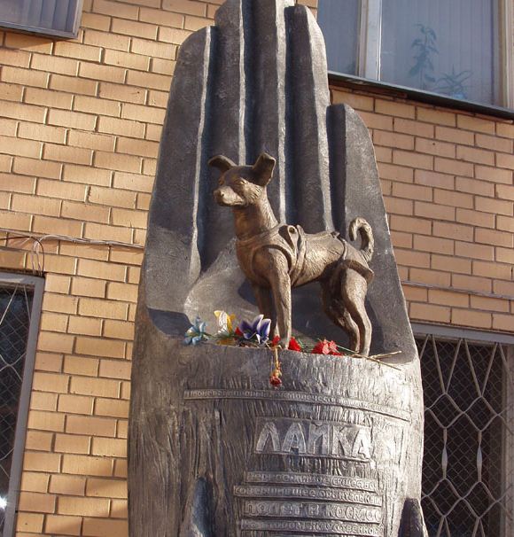 Памятник Лайке ( 2008 год)