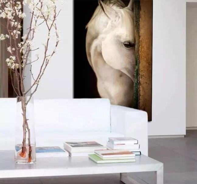 Постер с фантастически красивой белой лошадью 