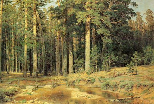 И. И. Шишкин. Пейзаж " Корабельная роща" ( 1898 год). 