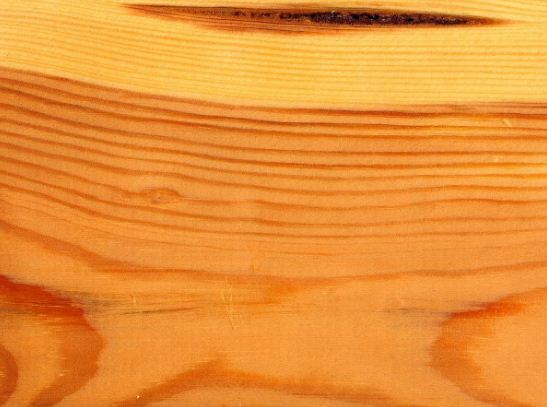 Текстура древесины сосны 