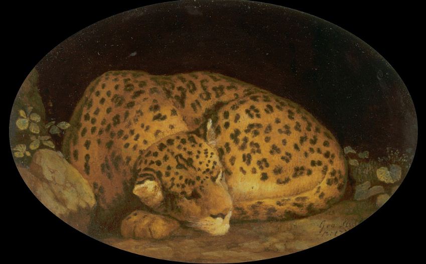 Джордж Стаббс " Спящий леопард" ( 1777 год). 