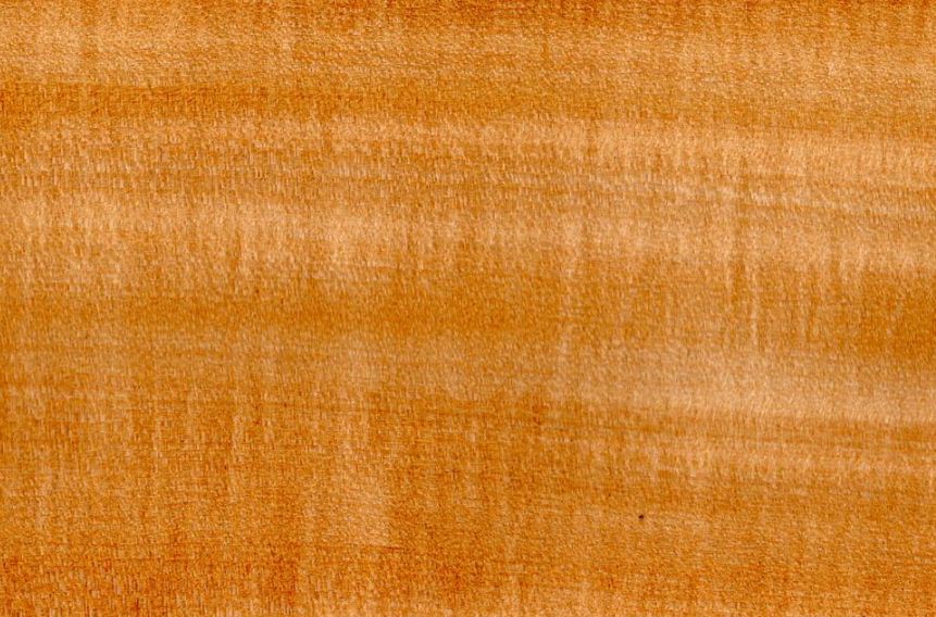 Текстура древесины липы 