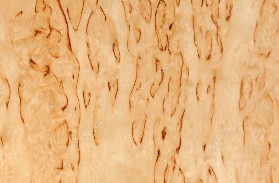 Текстура древесины карельской ели 