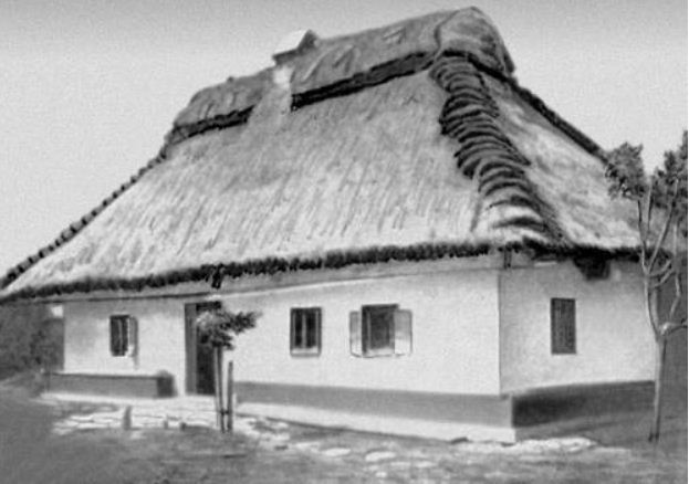 Украинская хата в Подольской губернии ( начало XX века). 