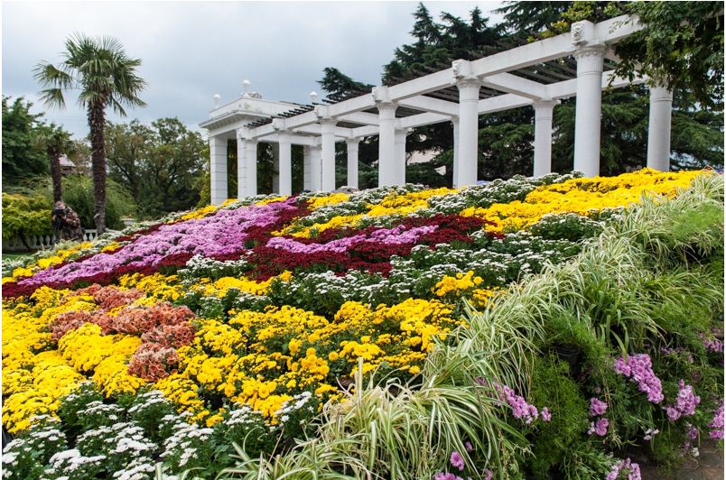 Никитский ботанический сад - самый красивый парк Крымского полуострова.